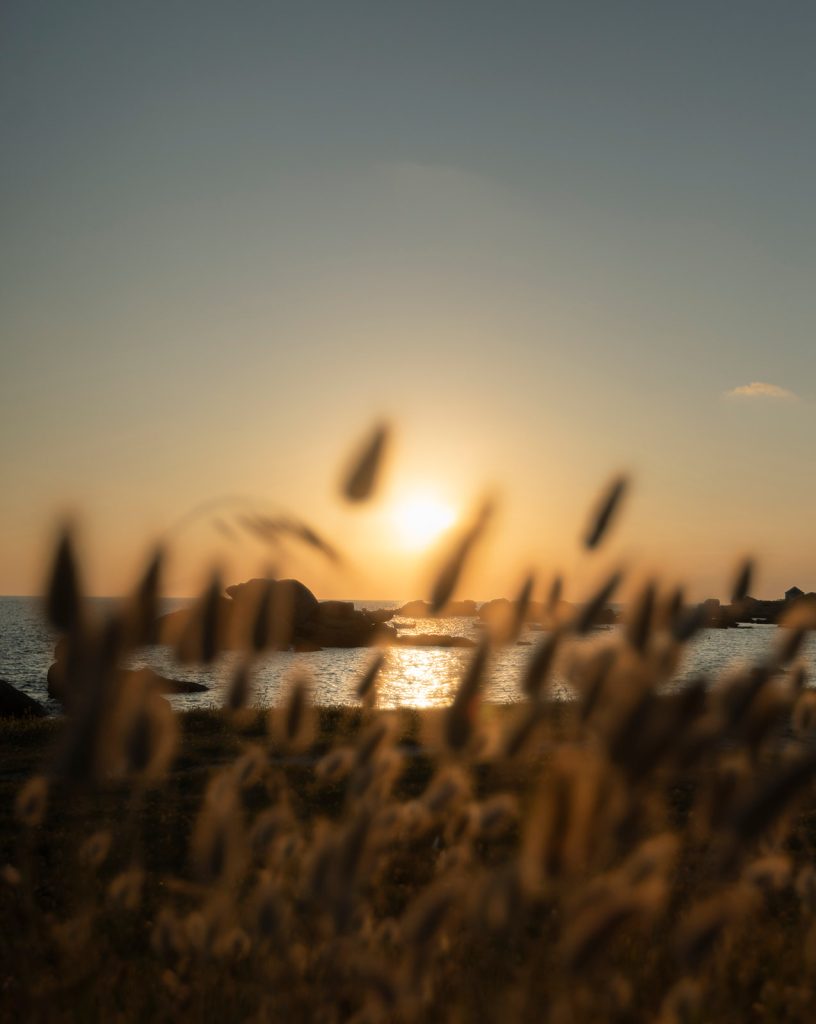 Exterior Hotel de la Mer 51 1