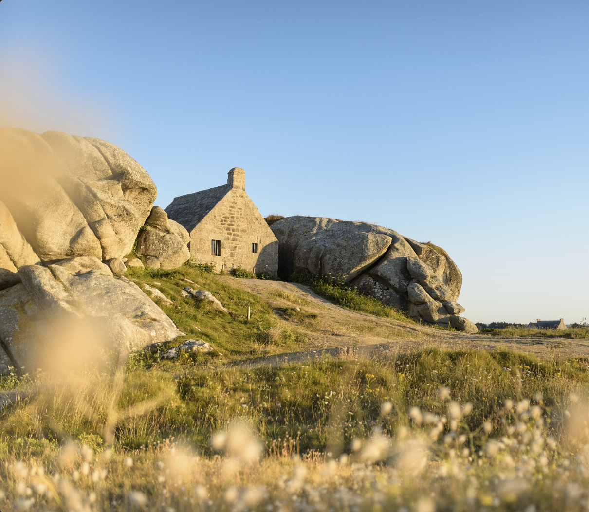 Screen capture 2026 01 12 a 14.29.10